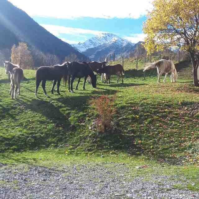Les Chalets D'Aure. 아라뉴엣 외부 사진
